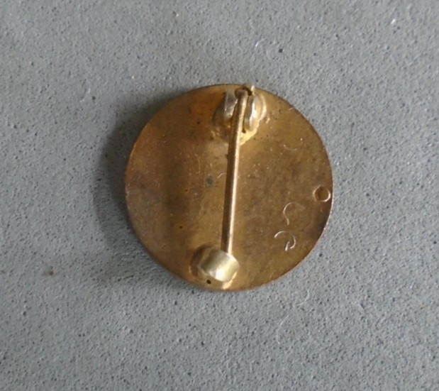 Allied Expeditionary Force enamel pin back button