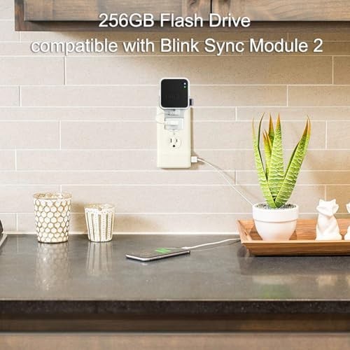 256GB USB Flash Drive with Wall Mount for Blink Security System - Space-Saving H
