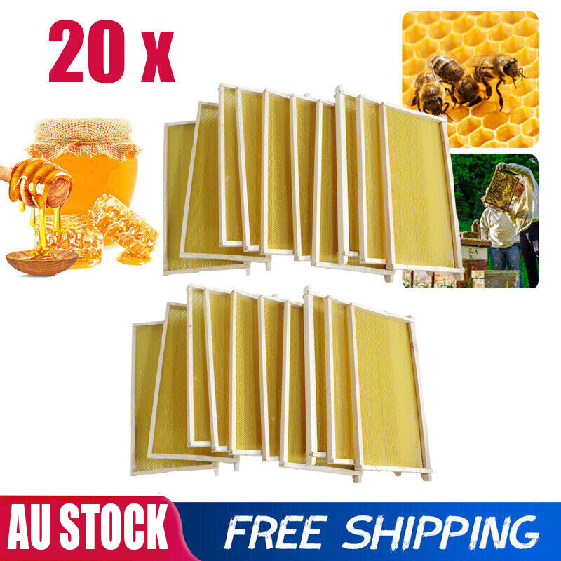 20pcs Bee Hive Frames Brood Box Frames Deep Bee Hive Waxed Foundation Honeycomb