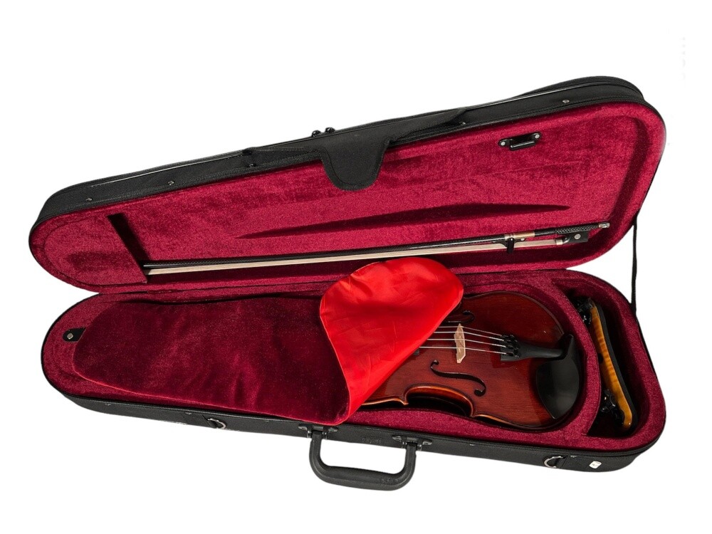 Petz Violin Violin Case Triangular Shape with Shoulder Rest Compartment in 5 ...