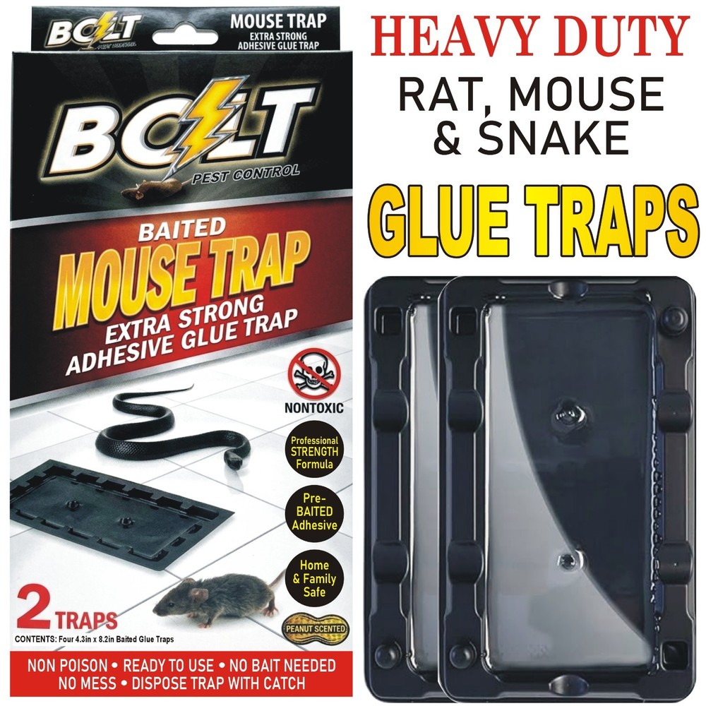 BOLT Glue Mouse Trap Extra Strong Adhesive - Profession Strength Formula