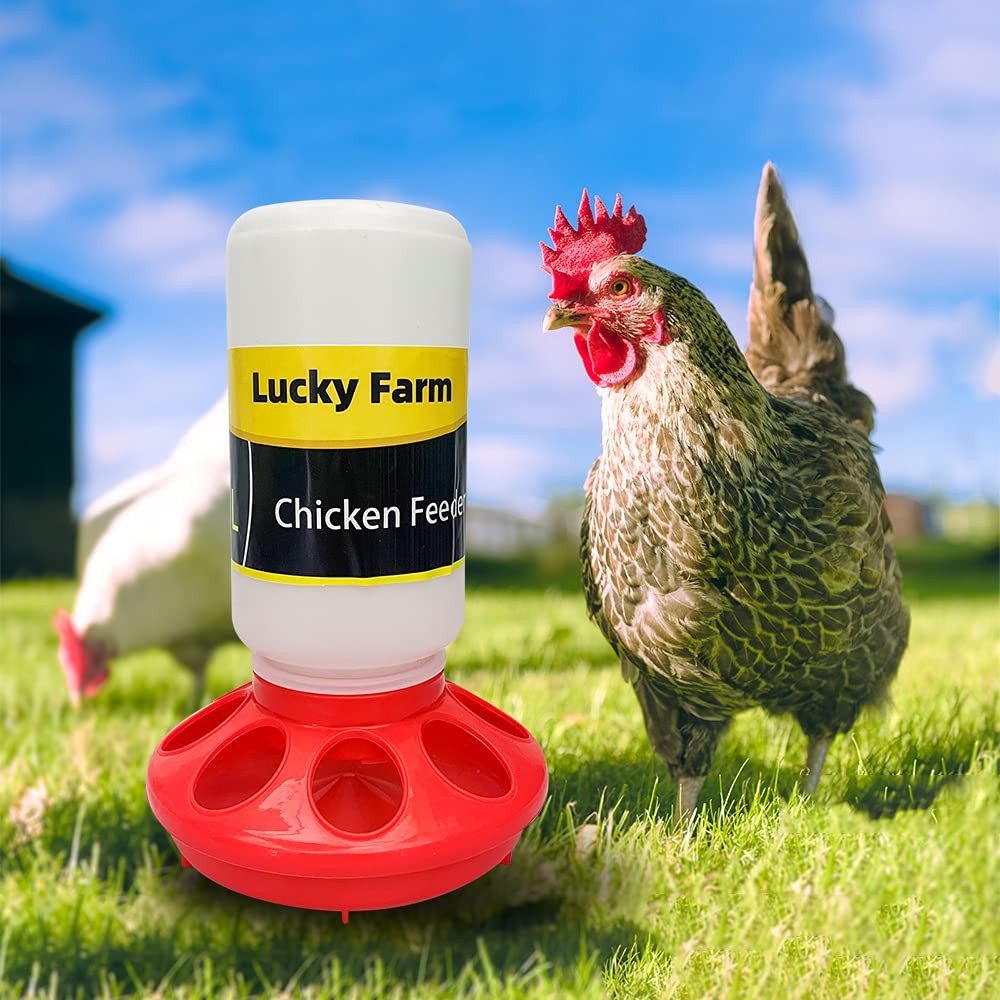 Chick Feeder and Waterer kit 1L Drinker & Feeder for Chickens Broilers,& Bird...