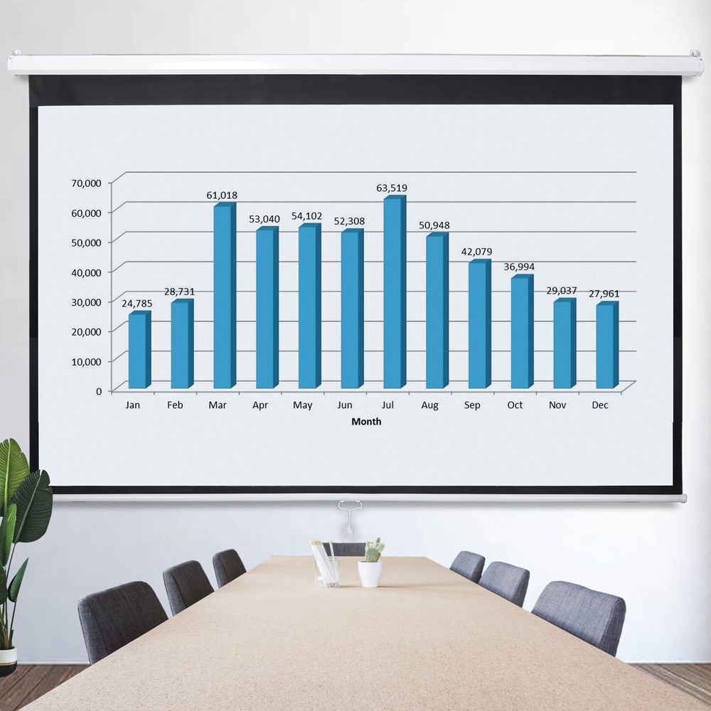 100" Diagonal Projection Projector Screen HD Manual Pull Down Home Theater 16:9