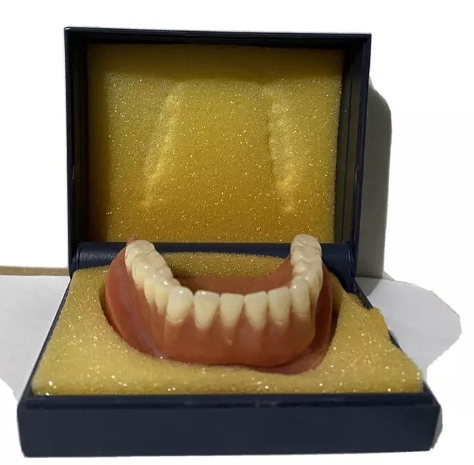 Rare Parkell Magnet System Magnetic Dental Jaw Teeth Model