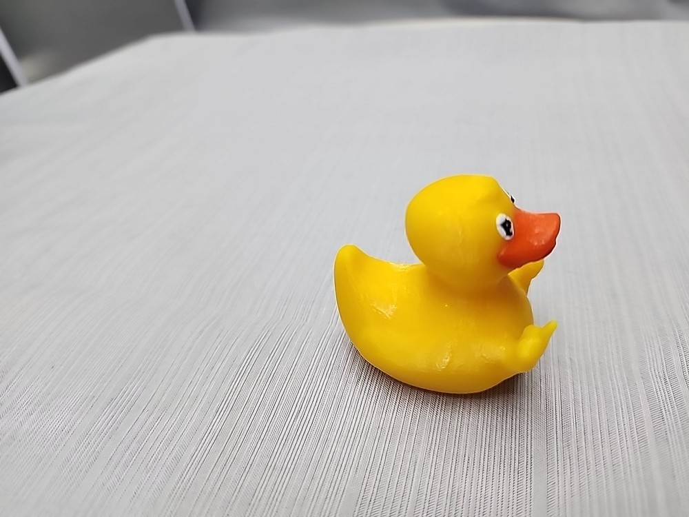 Duck You Duck Designed By 3D By G&D