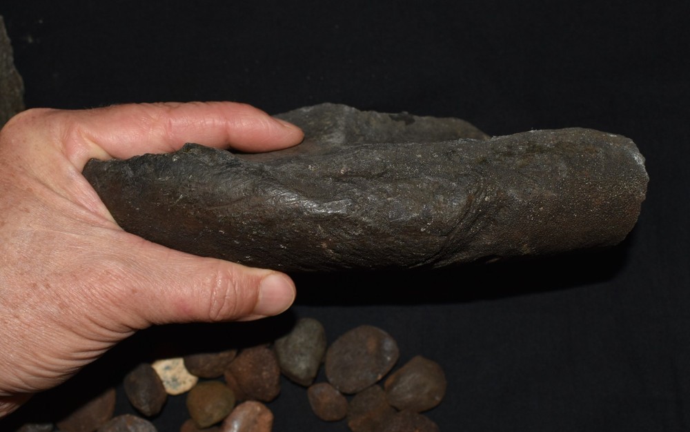 HUGE Fossil GIANT TORTOISE SHELL SECTIONS W/ 30 Osteoderms and 2 Fighting Spurs
