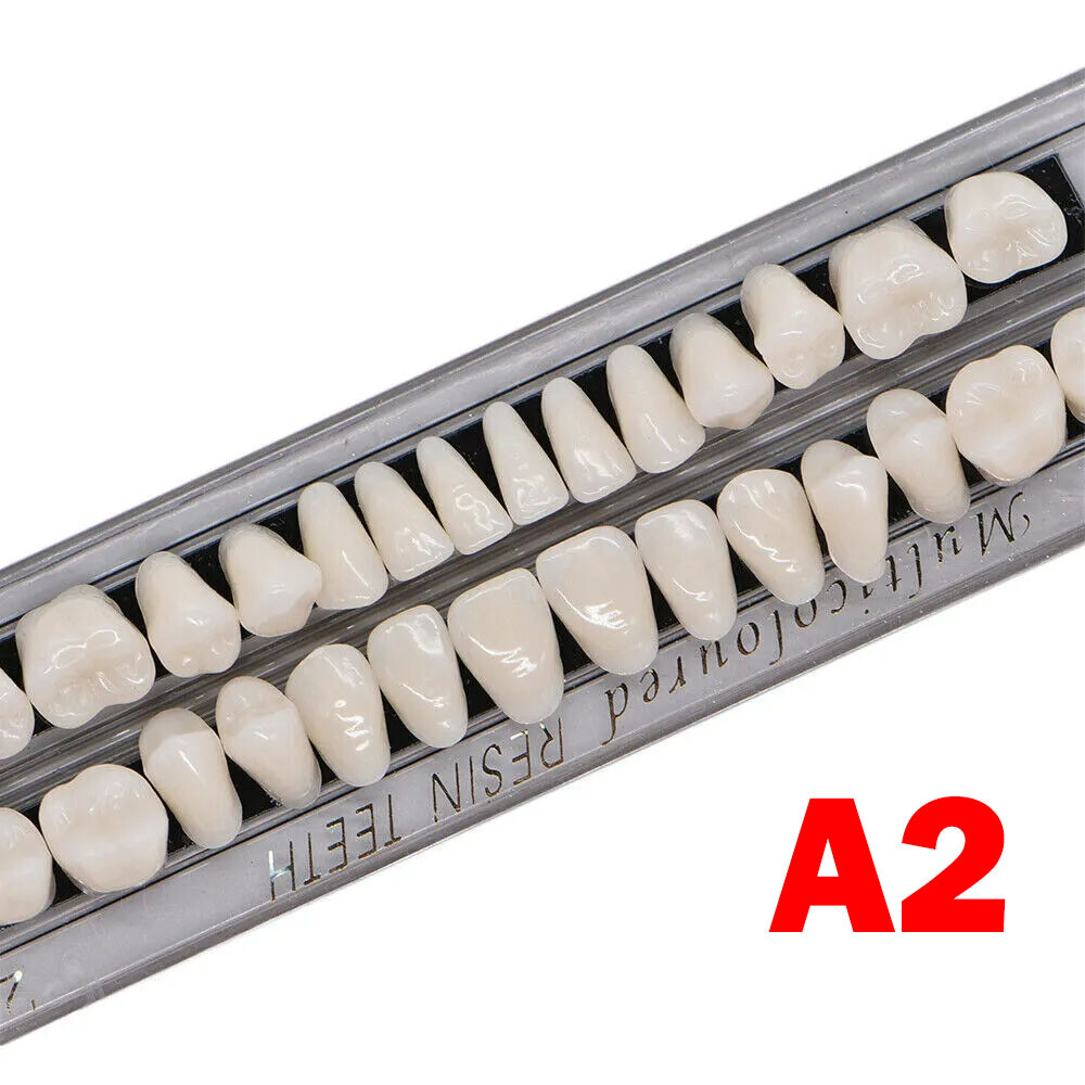 Dental Acrylic Resin Denture Shade A2 A3 Upper Lower Full Set False Teeth