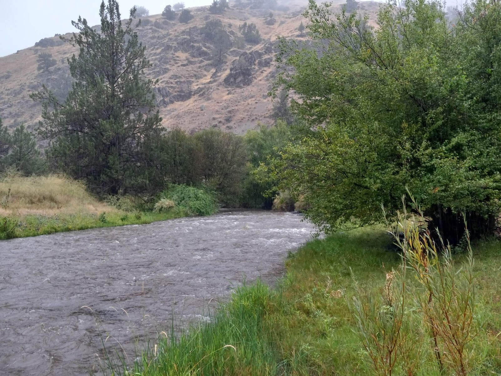 Republic Mining Prospectors Association Membership. Access to 18 Mining Claims.