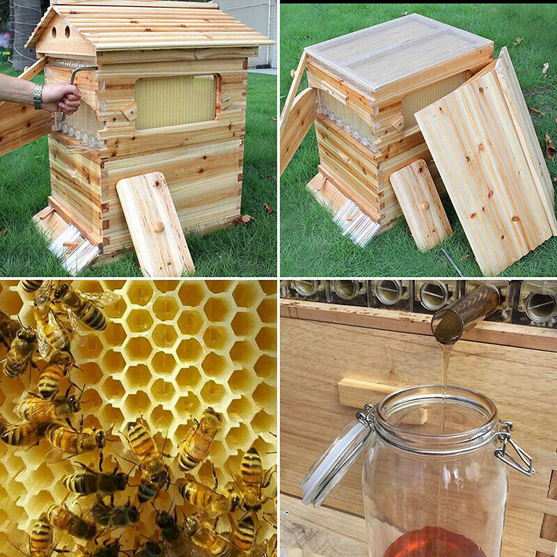 7PCS Auto Seeping Honey Bee Hives Beehive Frames +Cedarwood Beekeeping Brood Box