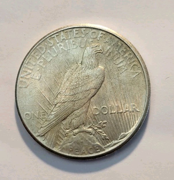 1925 Silver Peace Dollar