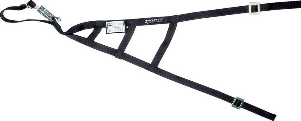 Allstar Performance 10246 | Triangle Window Net SFI