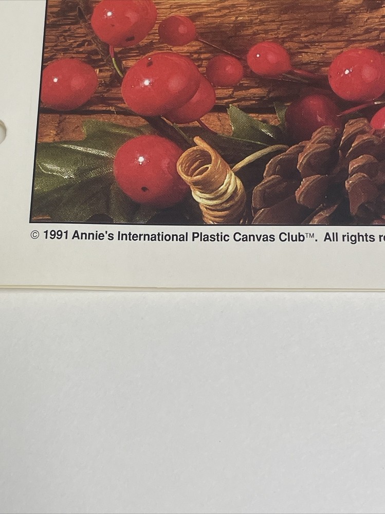 Chickadee Holder Annie's Attic Plastic Canvas Pattern