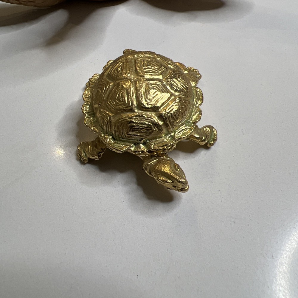 Turtles 5 Pieces Sea Turtles