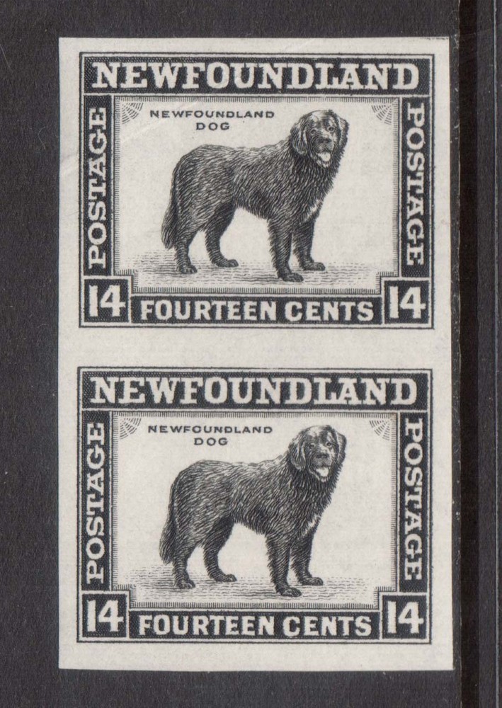 Newfoundland #261a XF/NH Imperf Pair
