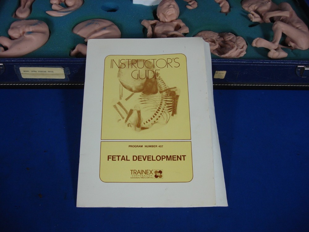 Vintage Trainex Fetal Development Trainer