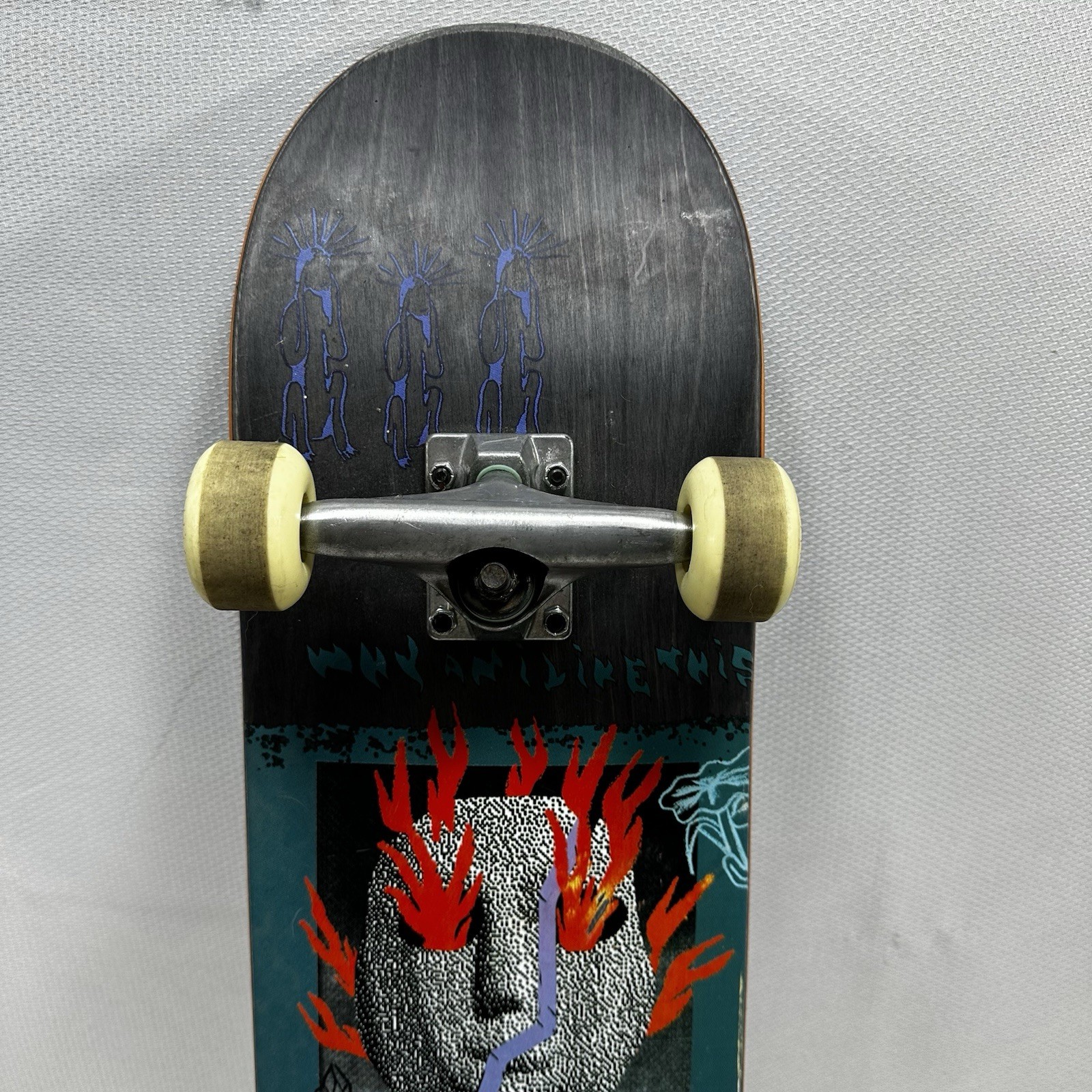 Globe Premium Maple Skateboard 7.5" x 31” 53 mm Ricta Sparx 99a Tensor Trucks