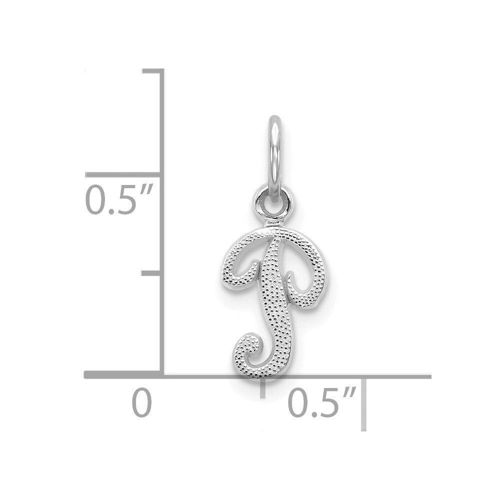 10K White Gold Initial P Charm