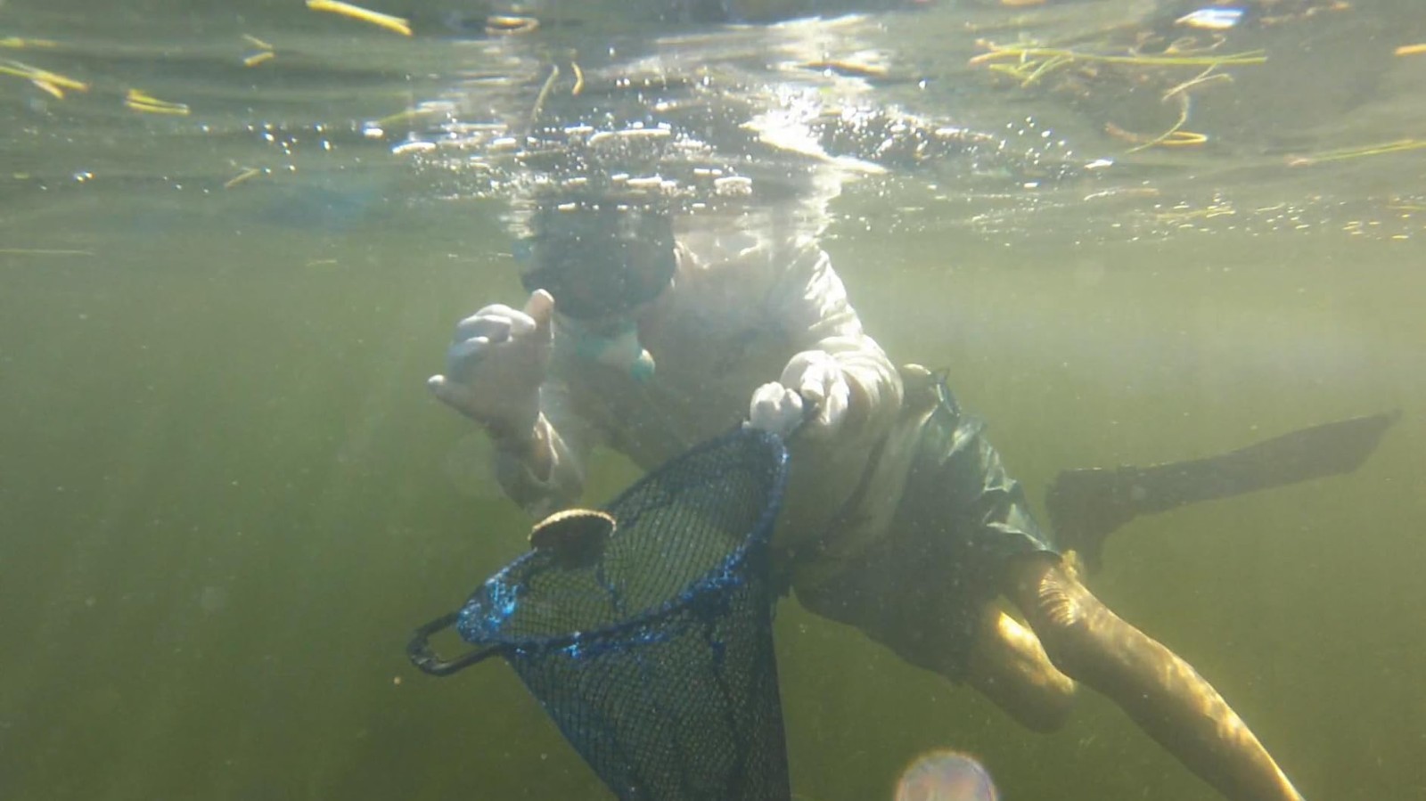 KUFA Clam Bag Diving bag Diving Bag Fish Holder blue (Size:16"xx20")