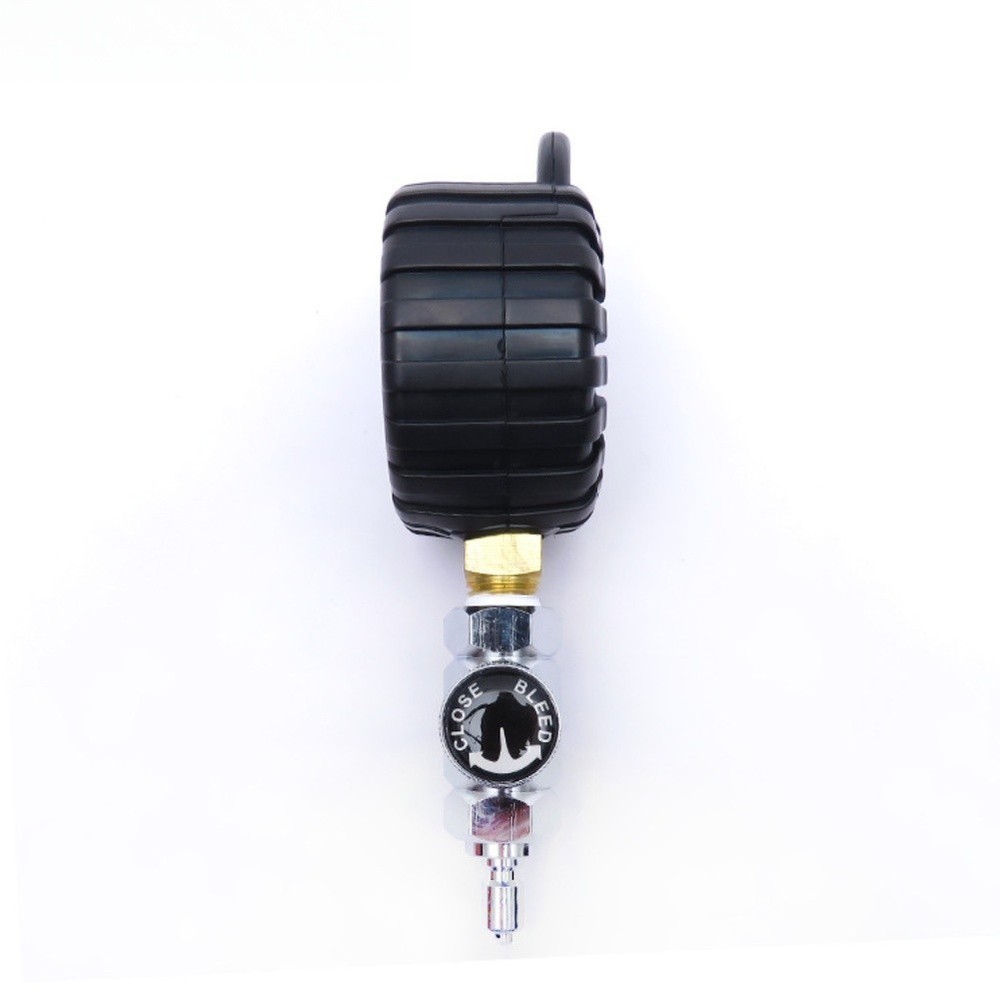 300PSI Gauge Brass Regulator Adjustable Regulator Compact Design For First Stage