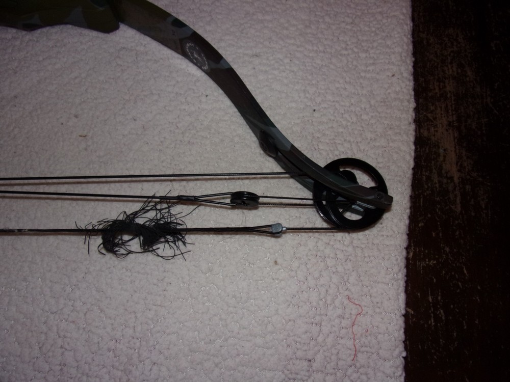 Golden Eagle Super Hawk Compound Bow