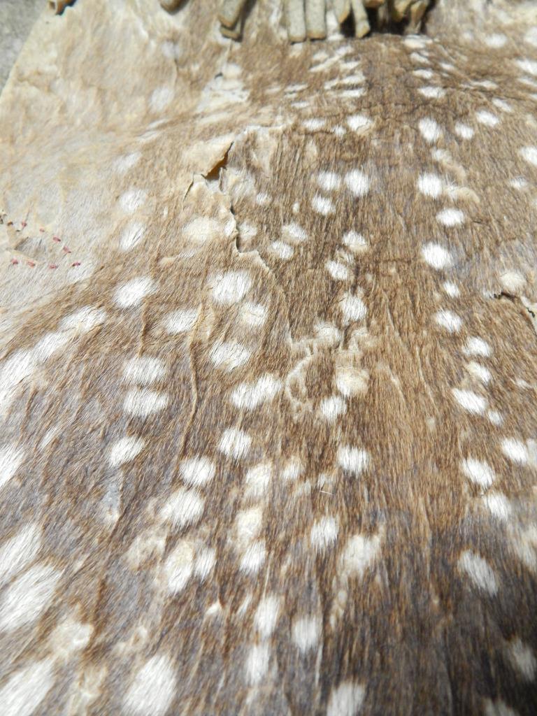 ANTIQUE 1890s BLACKFEET (PIKUNI) PLAINS INDIAN POUCH DOE HIDE POUCH / BAG