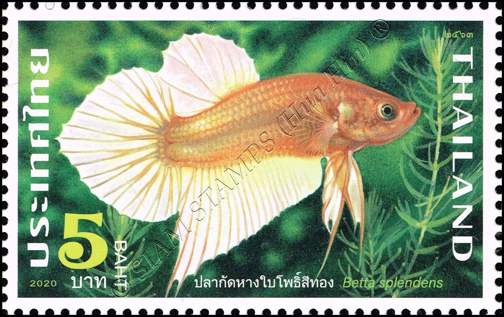 Fighting Fish (II) -A 13 1/4- (MNH)