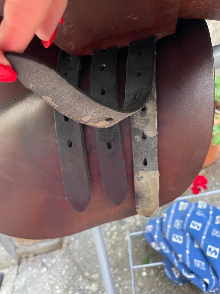 Stubben Camelot CC saddle, 2001: $300