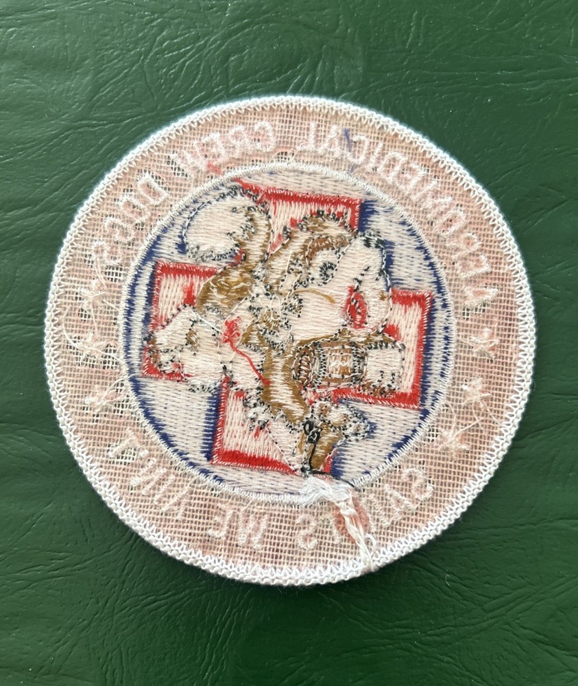 Aeromedical Crew Dogs Saints We Ain’t USAF Patch