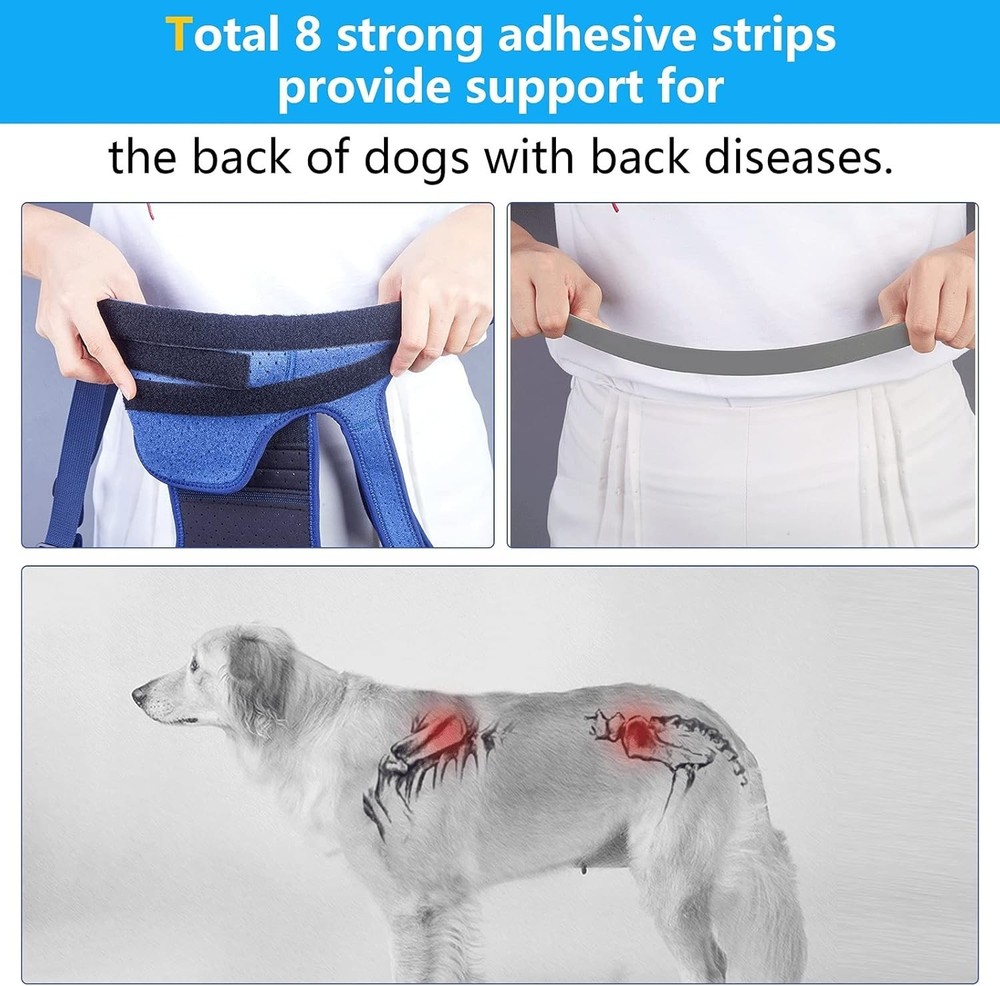 Reflective Dog Back Bracer for Arthritis Relief, Blue-Medium