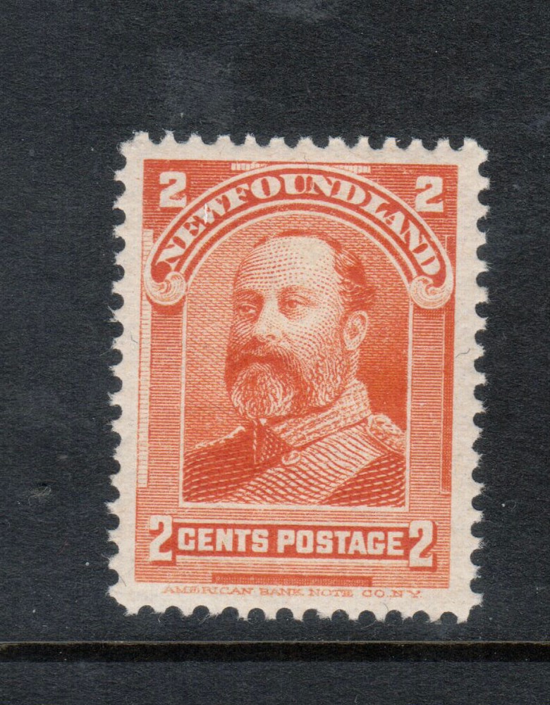 Newfoundland #81 Extra Fine Never Hinged Gem