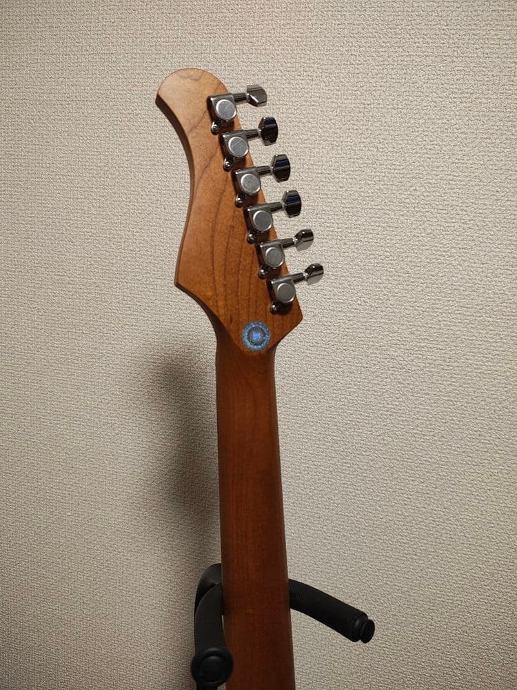 Bacchus GS-2DX RSM/M with modification