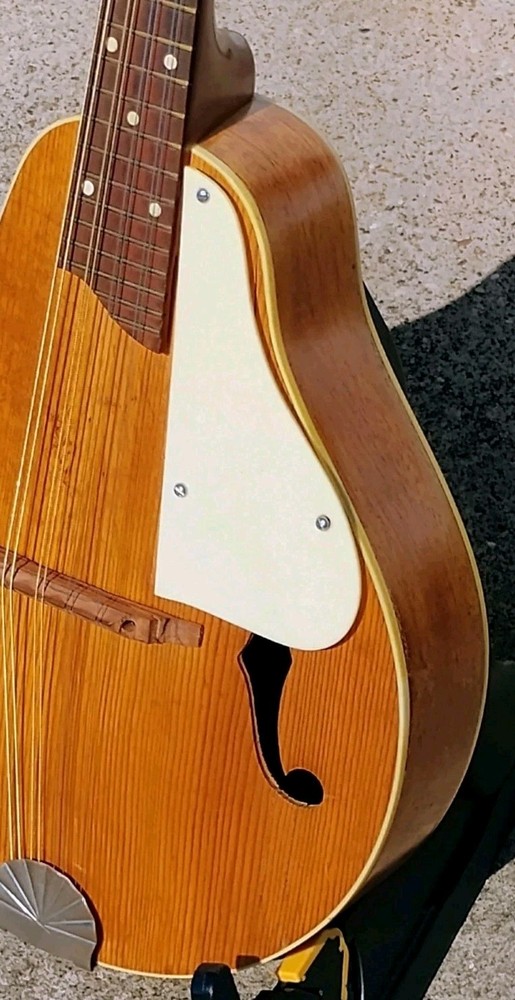 1940's Silvertone Mandolin w/HSC! -LL