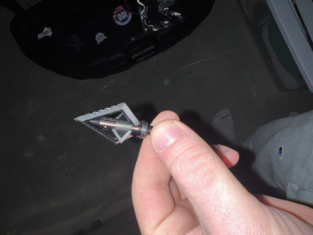 Bear Paradox Compound Bow