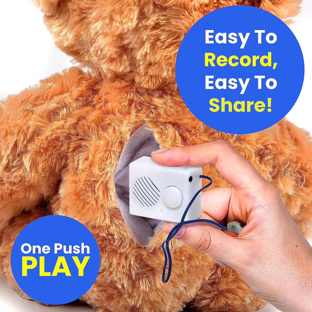 Box - 10 Inch Extension Play Button for Stuffed Animals, Craft Projects, School