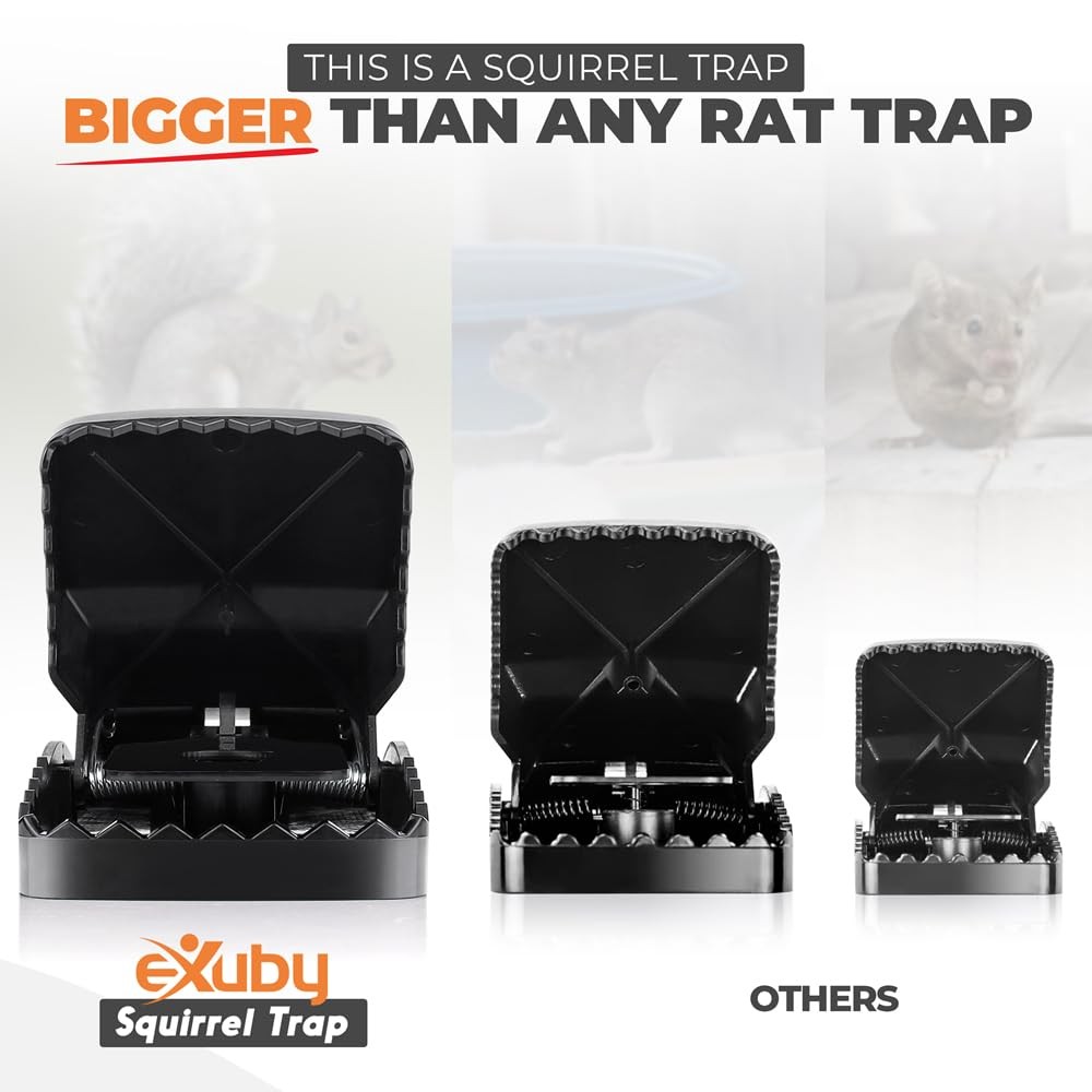 Squirrel Trap (2 Pack) - Consistent & Humane Kill Every Time with no Failures...