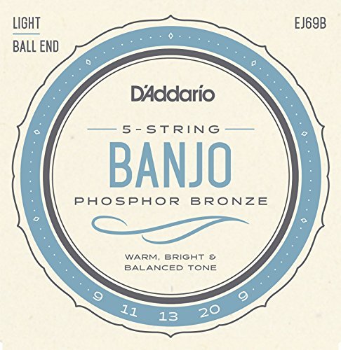 D'Addario EJ69B 5-String Ball-End Banjo Strings, Phosphor Bronze, Light, 9-20