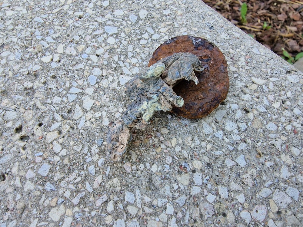 WW2 Original German Badges Front Item Relic.