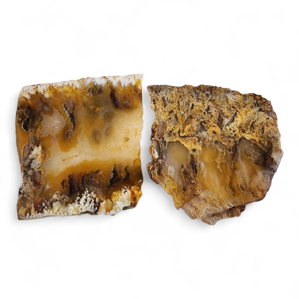 Plume Agate Slabs Oregon 94.1 grams.