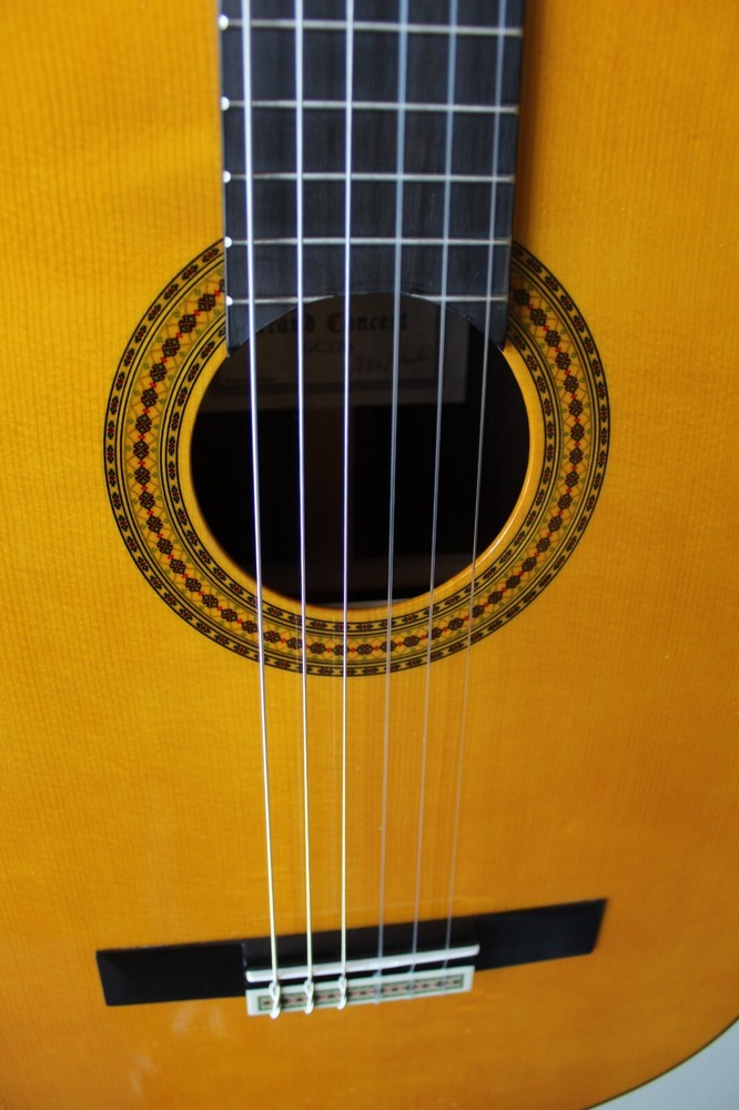 Brand New Yamaha GC22S Nylon String Classical Guitar with Softshell Case