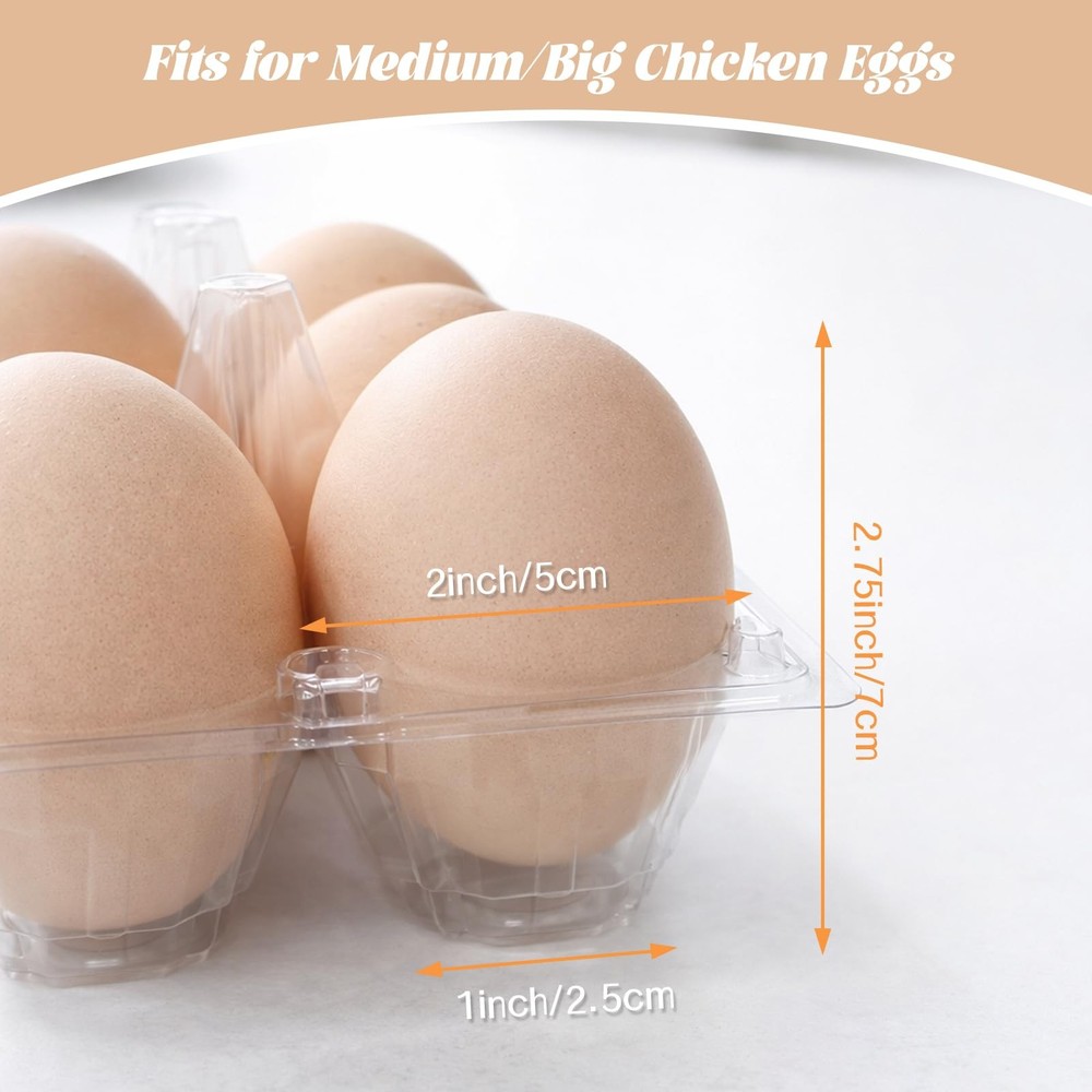 Plastic Egg Cartons 60 Pack 12 Count Cheap Bulk Clear Dozen Reusable Empty Eg...