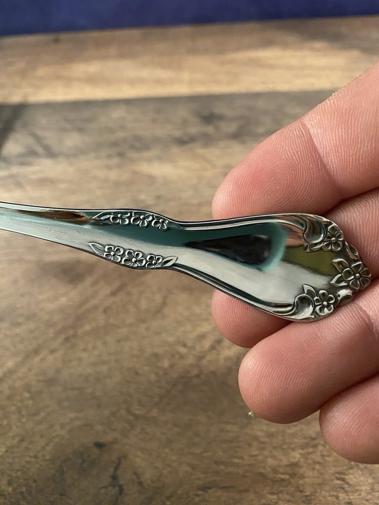 Large Oneida Canada Serving Spoon Scroll Flower Design Unknown Pattern
