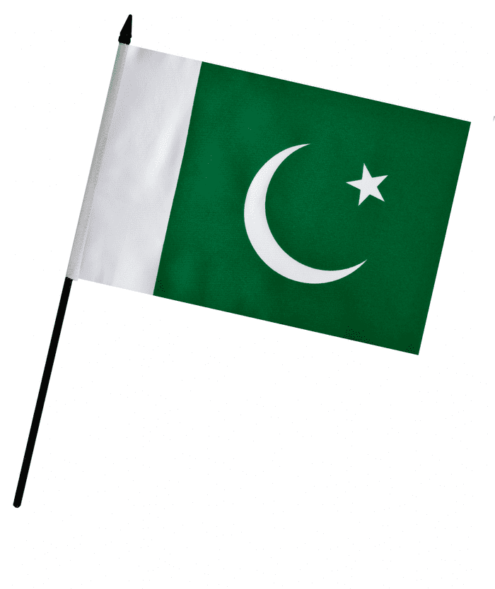 Pakistan Hand Flag (9" x 6")