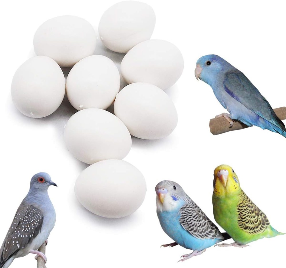 FOIBURELY 8 Pcs Solid Parrot Plastic Eggs Hatching Eggs Parrotlet，Budgie Parak