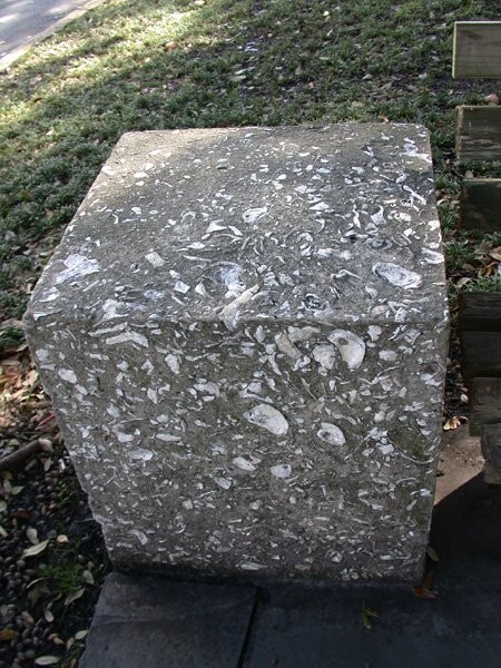 Oyster Shells for Landscaping and Concrete "Tabby Concrete" BULK by the pound