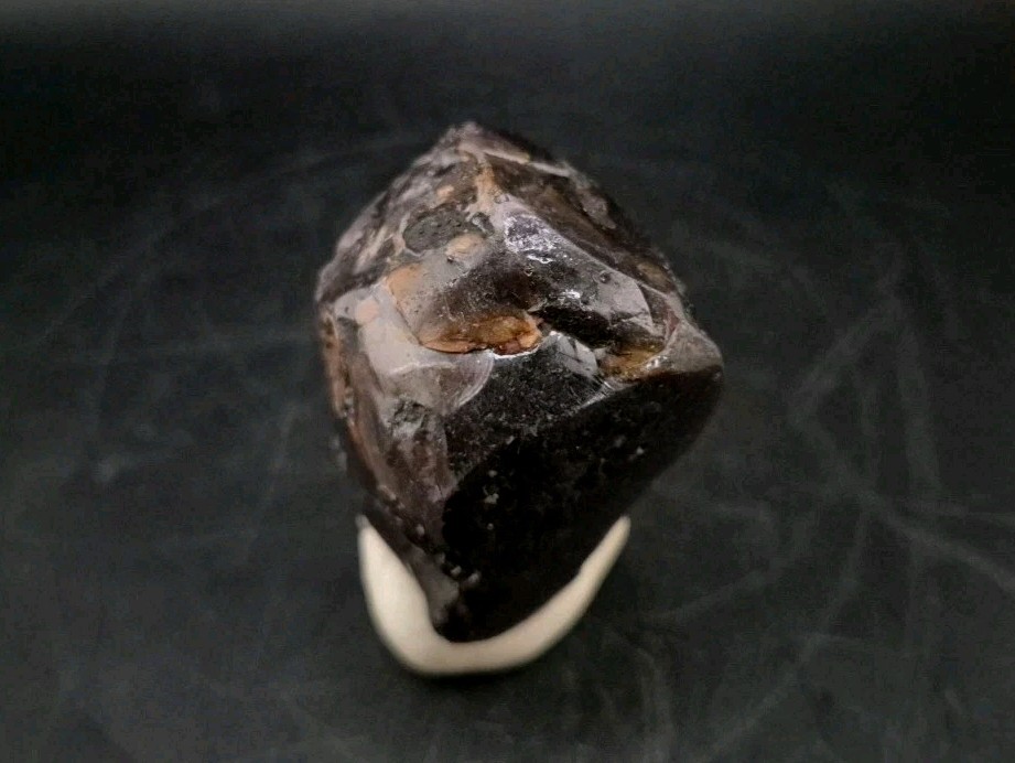 Real Fossil Dinosaur Egg Opalized