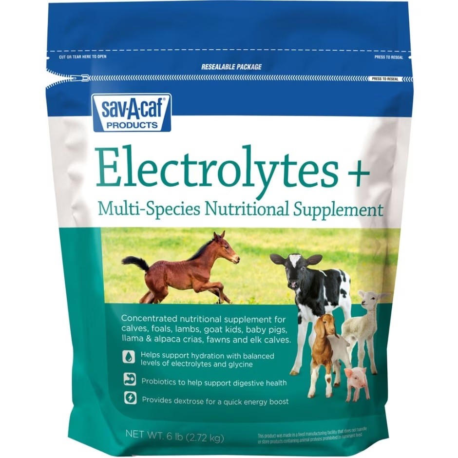 Livestock Electrolytes Plus Supplement, 6-Lbs.