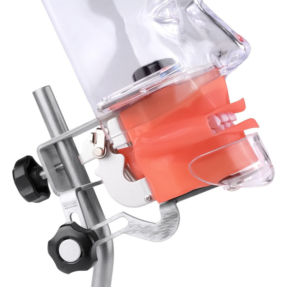 Desktop Dental Manual Manikin Simulator Phantom Head Model for Training Practice