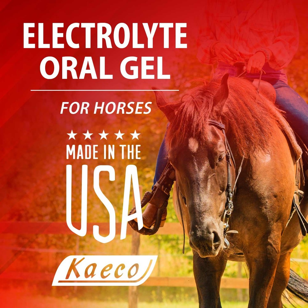 Electrolyte Oral Gel 30mL