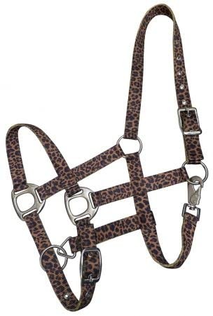 Showman Nylon Halter w/ Cheetah Design