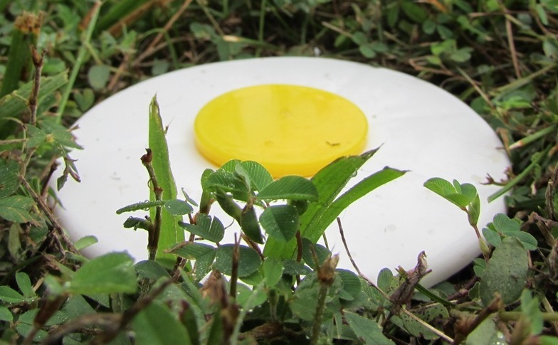 Batting Cage Frame Kit 10' x 10' x 40' EZ UP & DOWN Baseball Softball Frame Kit